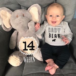 kelly baby elephant rattle
